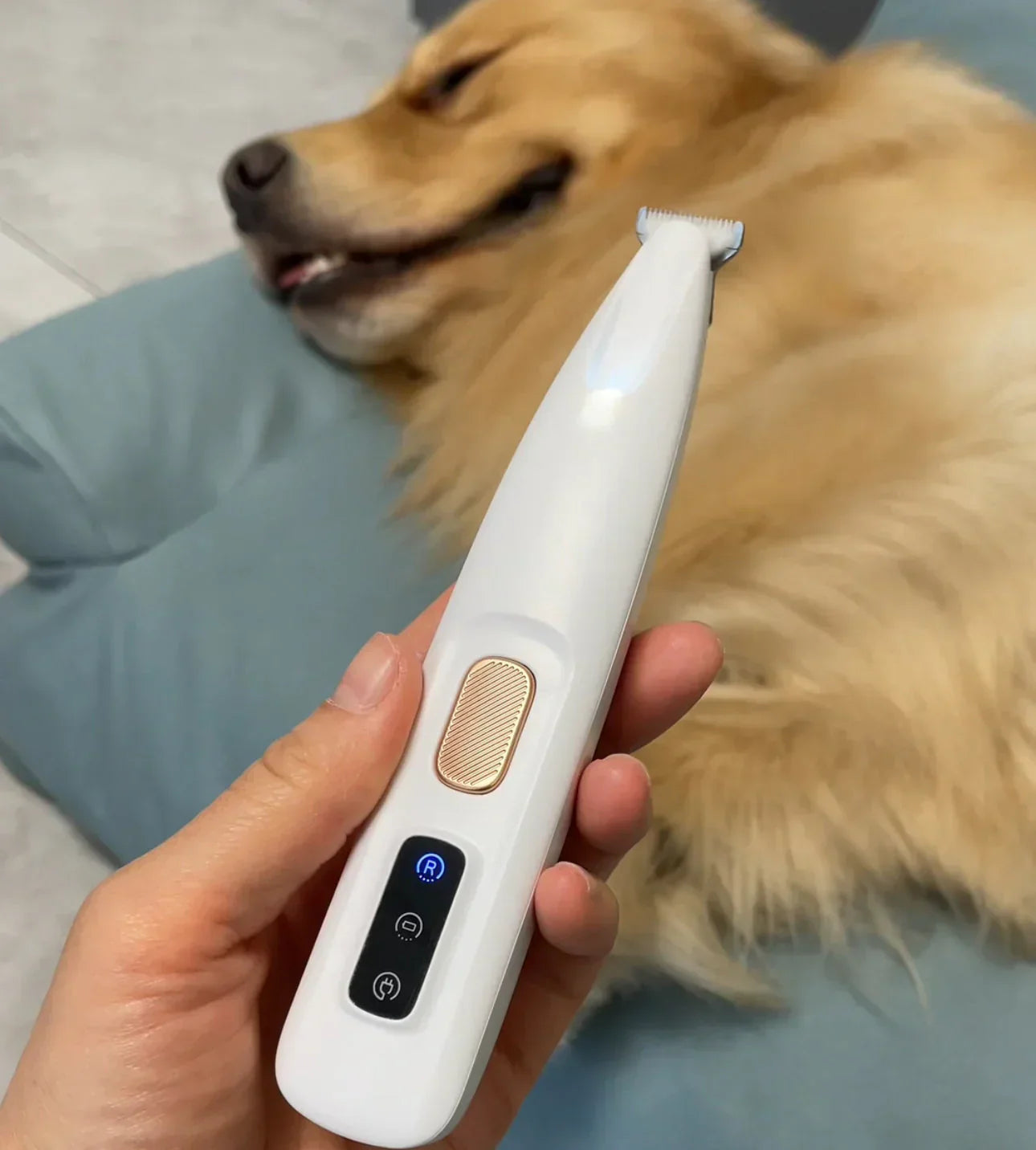 Pet Paw Trimmer – Quiet, Cordless Grooming Trimmer for Dogs & Cats